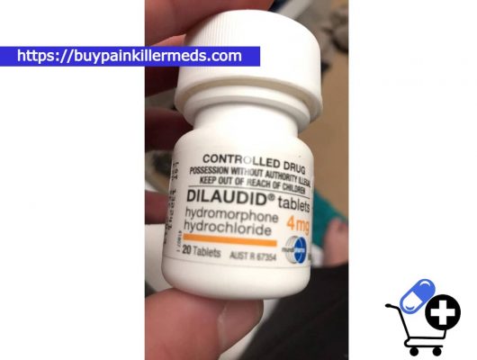 dilaudid pain medication | pain killers